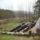 양지농장 이미지