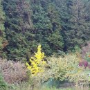 대흥민박 이미지