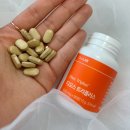 카페디오스 | 디오스트리플러스 후기｜치질 유산균·혈당 유산균 찾다가 먹어본 장유산균 리얼후기💊