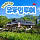 백시동목장 | 여행 3일차 1번째 코스 : “유후인 버스투어”후기라 쓰고 다자이후 텐만구/ 유노하나 유황재배지/ 가마...