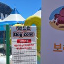 사곶 해수욕장 쉼터 공중화장실 | 2026 보령머드축제 강아지 멍드존 갈만할까? 직접 다녀옴