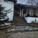 더 포레 동물병원 이미지