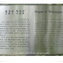월정사 부도군 이미지