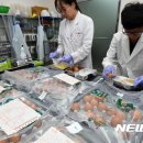 파동마트