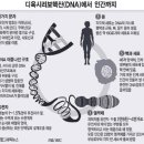 스포존 이미지