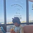 안면도농수산 | 충남태안 안면도여행 병술만 갯벌체험장 청포대 해수욕장 해루질