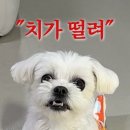 상욱패밀리 | 4월 일기