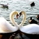 7당구클럽 이미지