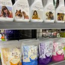 야옹아 멍멍해봐 이미지