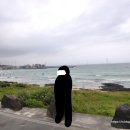세븐일레븐제주월정해안로점