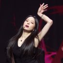 트랩어필 이미지