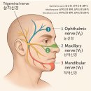 주현욱한의원 이미지