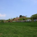 기쁨목장 이미지