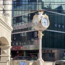 예주약국 이미지