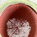 소금 | [내돈내산] 코스트코 말돈 소금 후기