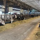 문금 농장 이미지