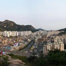 정원골드