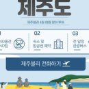 제주블리 여행사