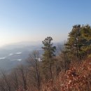 덕솔이네 이미지