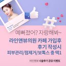 연예인눈썹 이미지