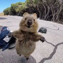 산곡골 | (2편) 예손병원 야간진료 족부센터 발가락 골절 진료 후기 산곡탑정형외과