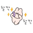 유폴 애견셀프목욕, 애견미용, 애견용품 직영점 이미지