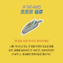 (주)김혜정 이미지