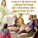 2024-06-14 연중 제10주간 금요일 이미지