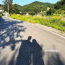 알럽에스제이 이미지