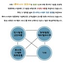 루미나사