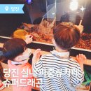 송악 동물병원 | 당진가볼만한곳 슈퍼드래곤에서 파충류와 함께하는 이색체험