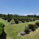 대연1동 행정복지센터 이미지