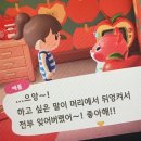 지 얼드 | 뭐했다구 11월인가요