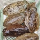 뉴해양호