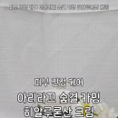 숲결