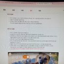 연대 | ❤️ 첫유기견봉사 동물자유연대 온센터 남양주 온독후기❤️