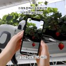 비에스팜 이미지