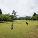 영희목장 이미지