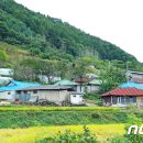 천천면광산마을 이미지