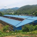 사랑황칠한우농장 이미지