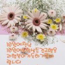 항상좋은날 Daum카페