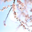 용암1리경로당 이미지