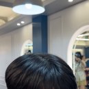 젤라헤어 이미지