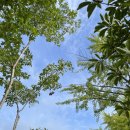 학마을 목욕탕 | 주민복지 증진 &#39;학마을 목욕탕 개장식&#39;