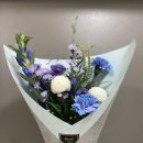 메일리데이 이미지