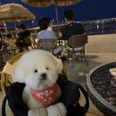 파인드프로덕트