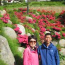 독도박물관 이미지