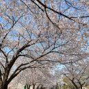 경기도 수원시 장안구 송정로59번길 이미지