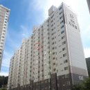 신세대지큐빌 이미지