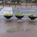 장자대로 이미지